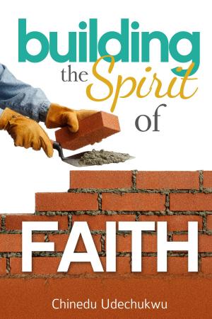 Cover of the book Building the Spirit of Faith by Danny Elijah Gilbert