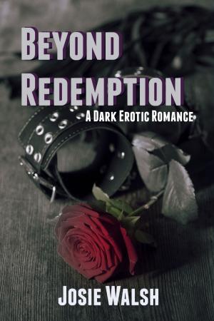 Cover of the book Beyond Redemption by Elvira Meriwether