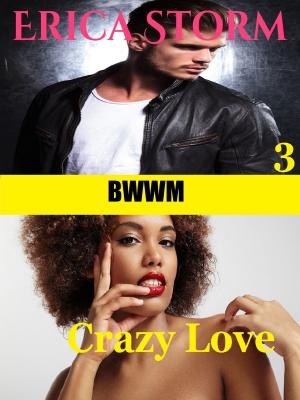 Cover of the book Crazy Love (Part 3) by Erica Storm