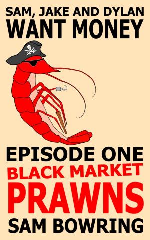 Cover of the book Sam, Jake and Dylan Want Money: Episode 1 - Black Market Prawns by Steve Howrie