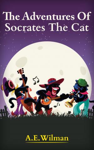 Cover of the book The Adventures Of Socrates The Cat by Sarah M. Andrews