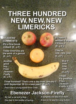 Cover of the book Three Hundred New, New, New Limericks by Ebenezer Jackson-Firefly