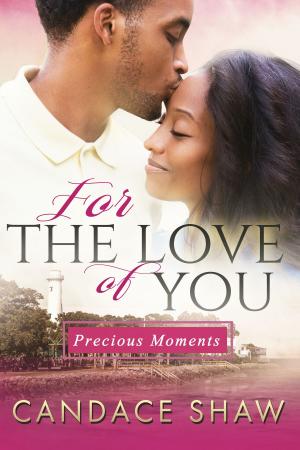 Book cover of For the Love of You