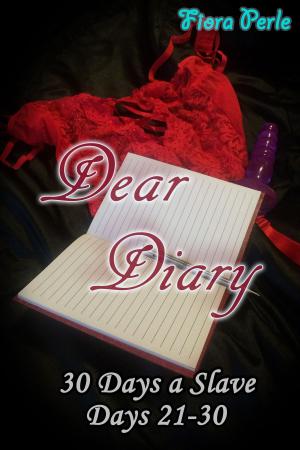 Cover of the book Dear Diary - Thirty Days A Slave (Days 21-30) by Gerard Johnston