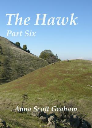 bigCover of the book The Hawk: Part Six by 