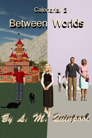 Cover of the book Calendrial: 2nd Year - Between Worlds by Julie Ortolon