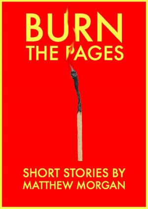 Cover of the book Burn the Pages by Bruce Halison