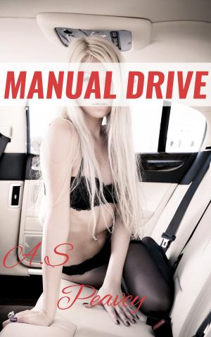 Cover of the book Manual Drive by A.S. Peavey