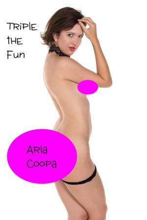 Cover of the book Triple the Fun by Arla Coopa