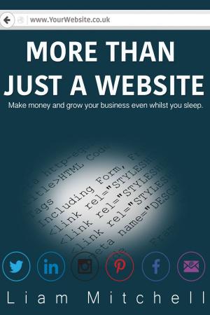 Book cover of More Than Just A Website