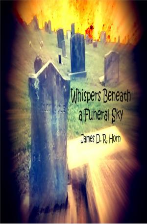 Cover of the book Whispers Beneath a Funeral Sky by Justin Tate