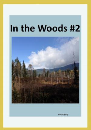 Book cover of In The Woods #2