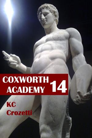 bigCover of the book Coxworth Academy 14 by 