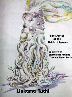 bigCover of the book The Dancer at the Brink of Heaven by 