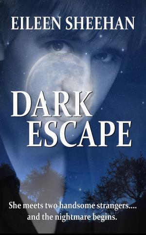 Book cover of Dark Escape