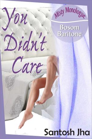 Cover of the book You Didn’t Care by Santosh Jha