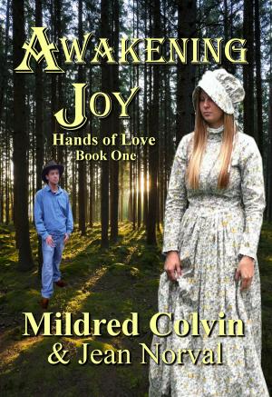 Cover of the book Awakening Joy by Mildred Colvin
