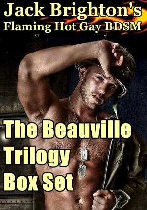 Book cover of The Beauville Trilogy Box Set
