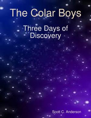 Cover of the book The Colar Boys - Three Days of Discovery by Mercy Mutamiri