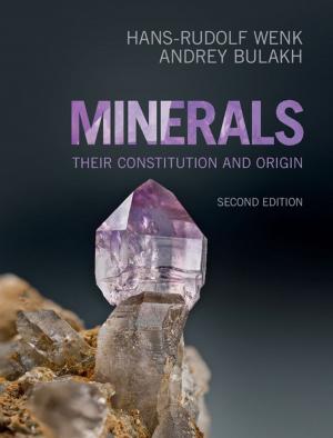 Cover of the book Minerals by Larry J. Feinberg