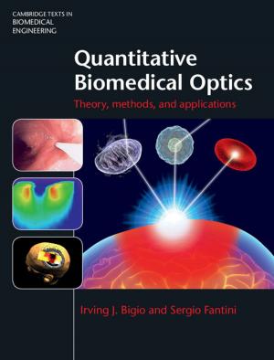 Cover of the book Quantitative Biomedical Optics by Yechiel Leiter