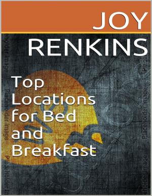 Cover of the book Top Locations for Bed and Breakfast by James V. Viscosi