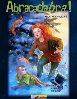 Cover of the book Abracadabra! by Daniel Zimmermann