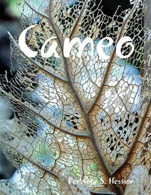 Cover of the book Cameo by Rabbi Simon Altaf Hakohen