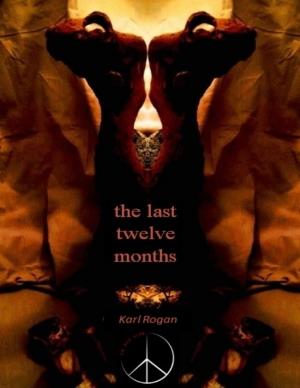 bigCover of the book The Last Twelve Months by 