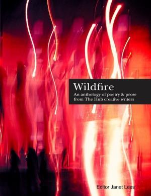 Cover of the book Wildfire Anthology by Tami Brady
