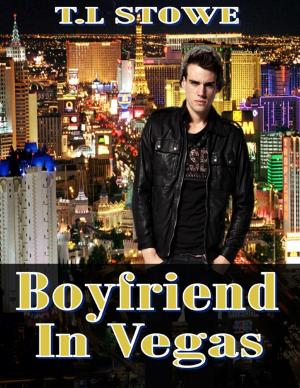 Cover of the book Boyfriend In Vegas by Daffyd C. Landegge