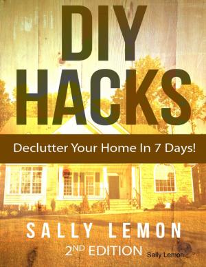 Cover of the book Diy Hacks to Declutter Your Home In 7 Days! by Doreen Milstead