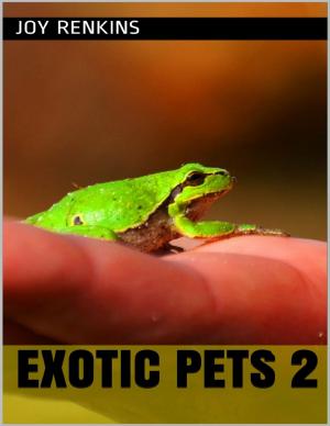 Book cover of Exotic Pets 2