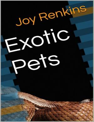 Cover of the book Exotic Pets by Stacey Rucker