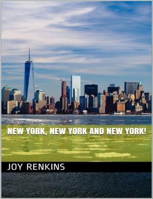 Cover of the book New York, New York and New York! by MJ Santangelo