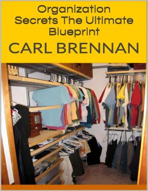 bigCover of the book Organization Secrets: The Ultimate Blueprint by 