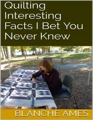Cover of the book Quilting: Interesting Facts I Bet You Never Knew by Patrick Ky