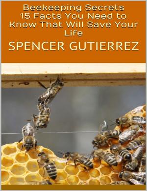Cover of the book Beekeeping Secrets: 15 Facts You Need to Know That Will Save Your Life by E W Farnsworth