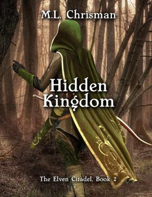Cover of the book Hidden Kingdom: The Elven Citadel, Book 2 by Nicholas Bartock