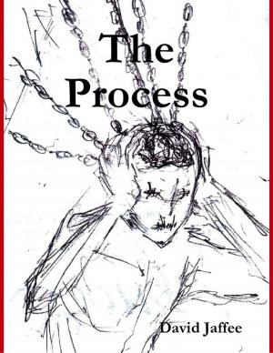 Cover of the book The Process by Nicholas Robert Jackson