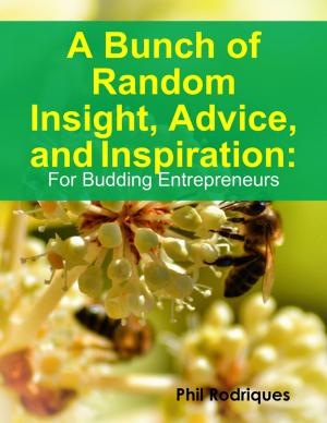 Cover of the book A Bunch of Random Insight, Advice, and Inspiration: For Budding Entrepreneurs by Susan Kramer