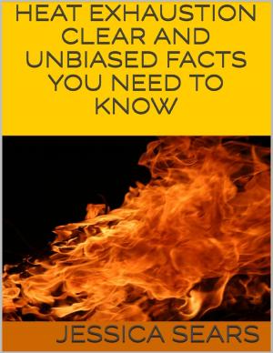 Cover of the book Heat Exhaustion: Clear and Unbiased Facts You Need to Know by Caroline Dancel-Garcia