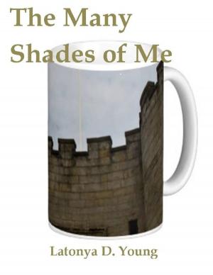 Cover of the book The Many Shades of Me by D.L. LeBlanc