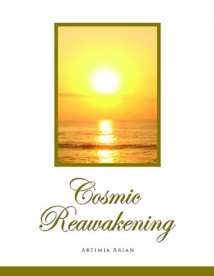 Cover of the book Cosmic Reawakening by Martin Webb