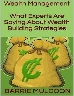 Cover of the book Wealth Management: What Experts Are Saying About Wealth Building Strategies by Isa Adam