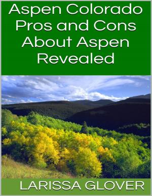 Cover of the book Aspen Colorado: Pros and Cons About Aspen Revealed by Robert J. Marckini