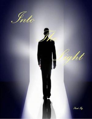 Cover of the book Into the Light by Michael Senoff