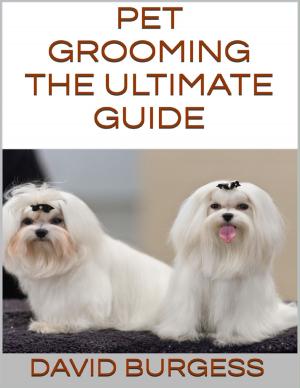 Cover of the book Pet Grooming: The Ultimate Guide by Patrick Chilvers Munkelt