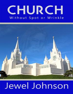 Cover of the book Church Without Spot or Wrinkle by Virgil Debique
