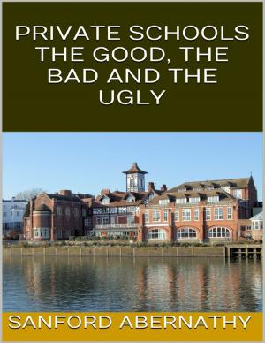 Cover of the book Private Schools: The Good, the Bad and the Ugly by Darryl Ann Lavitt